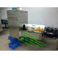 Automatic Mango Peeling Machine, Pumpkin Peeling Machine